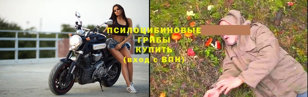 тгк Балахна