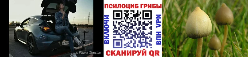 Галлюциногенные грибы MAGIC MUSHROOMS  Берёзовский 
